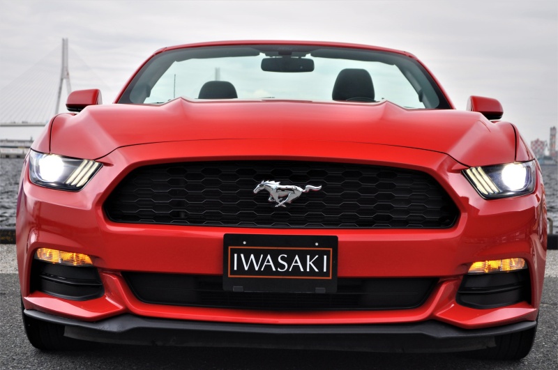 フォード マスタング 中古車