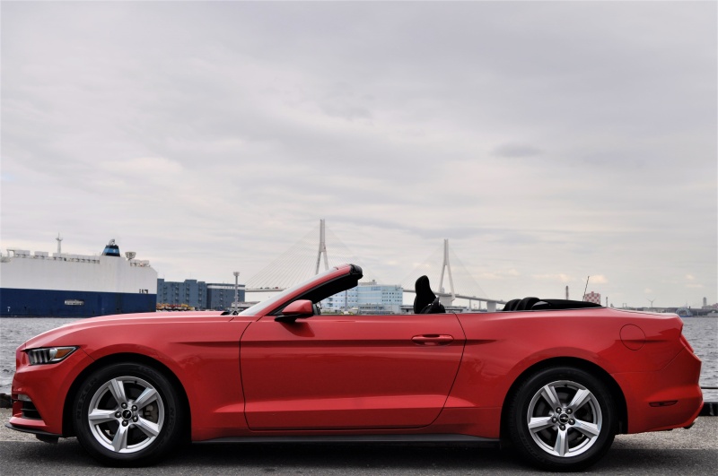 フォード マスタング 中古車