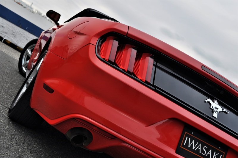 フォード マスタング 中古車