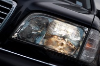 メルセデスベンツ Sクラス 中古車