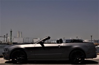 フォード マスタング 中古車