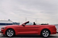 フォード マスタング 中古車