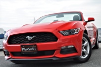 フォード マスタング 中古車