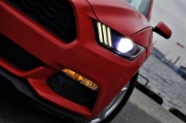 フォード マスタング 中古車