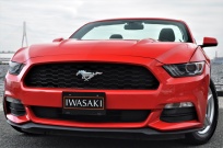 フォード マスタング 中古車